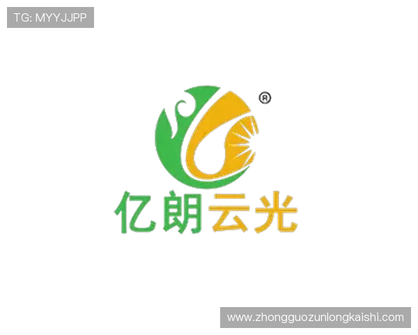 尊龙凯时完美体育官网app引入最新的技术创新，提升用户体验，打造行业领先的体育娱乐平台