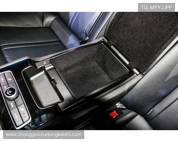 尊龙z6官网详细解析尊龙z6车型配置与用户评价指南