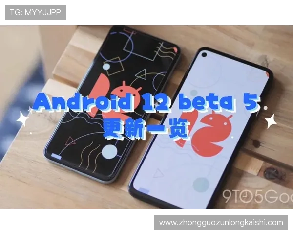 Z6尊龙集团官网官方平台最新版本更新内容与维护公告一览