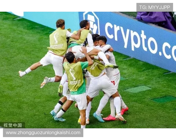 世界杯伊朗对埃及比赛场地布局及场馆设施全面解读