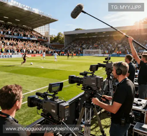 为什么选择我们